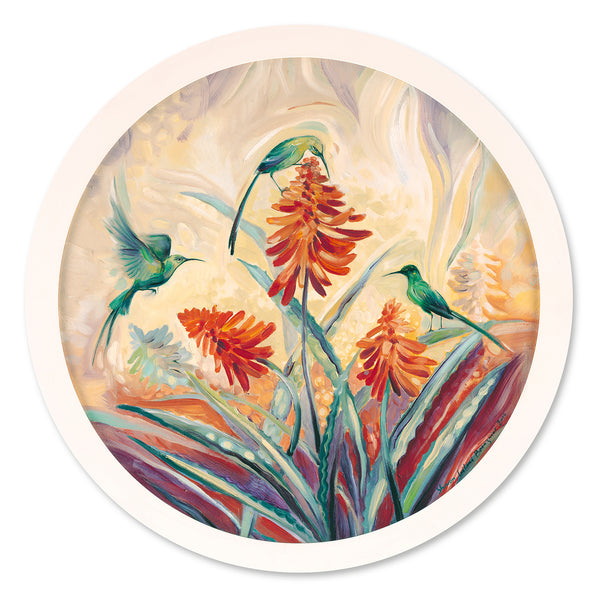 Aloe with Malachite Sunbird