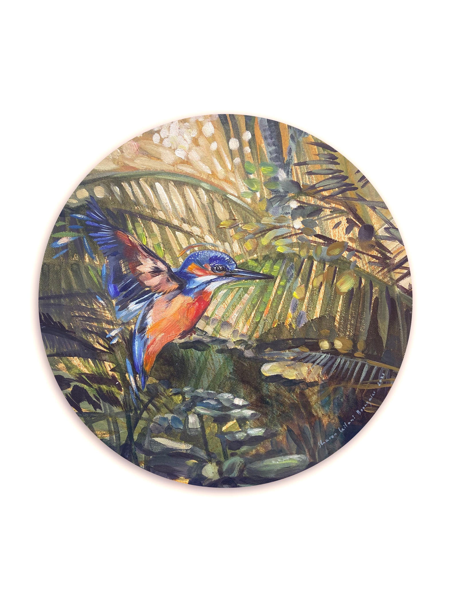 Kingfisher Round