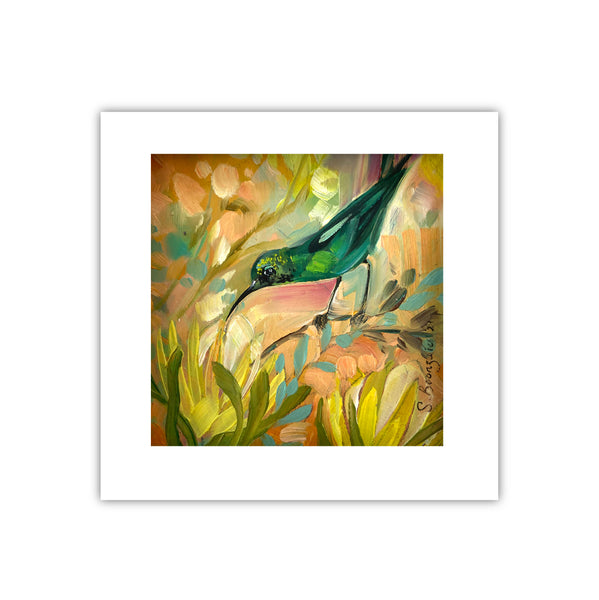 Mini Malachite on Nude Fynbos Sunbird