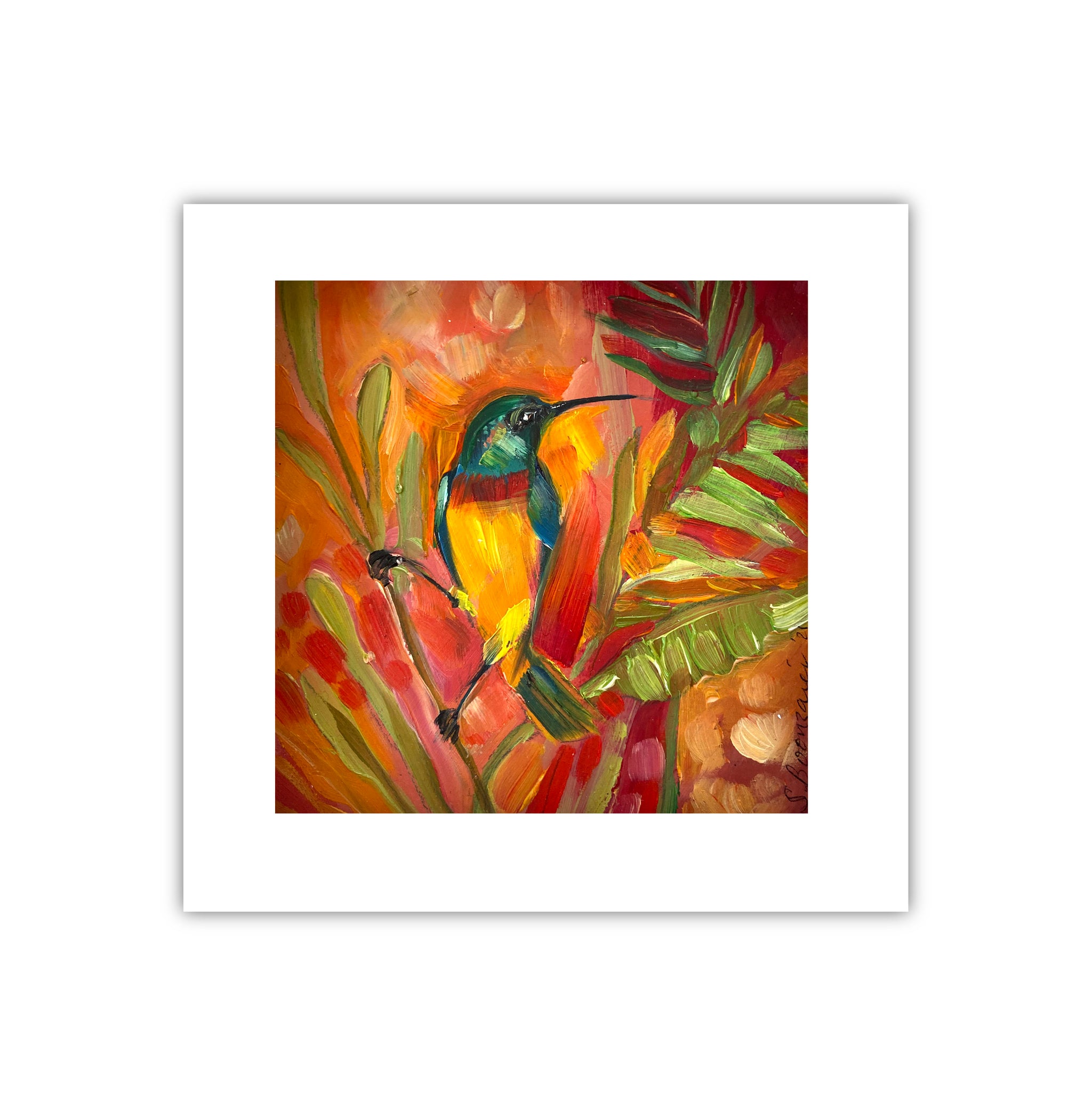 Mini Orange Breasted Sunbird
