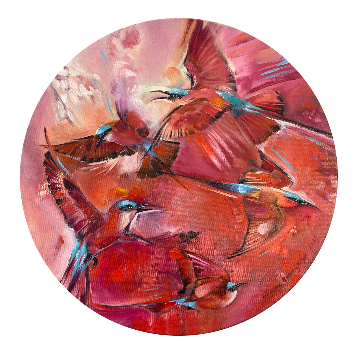 Southern Carmine Bee-eater Mini oil-on-canvas