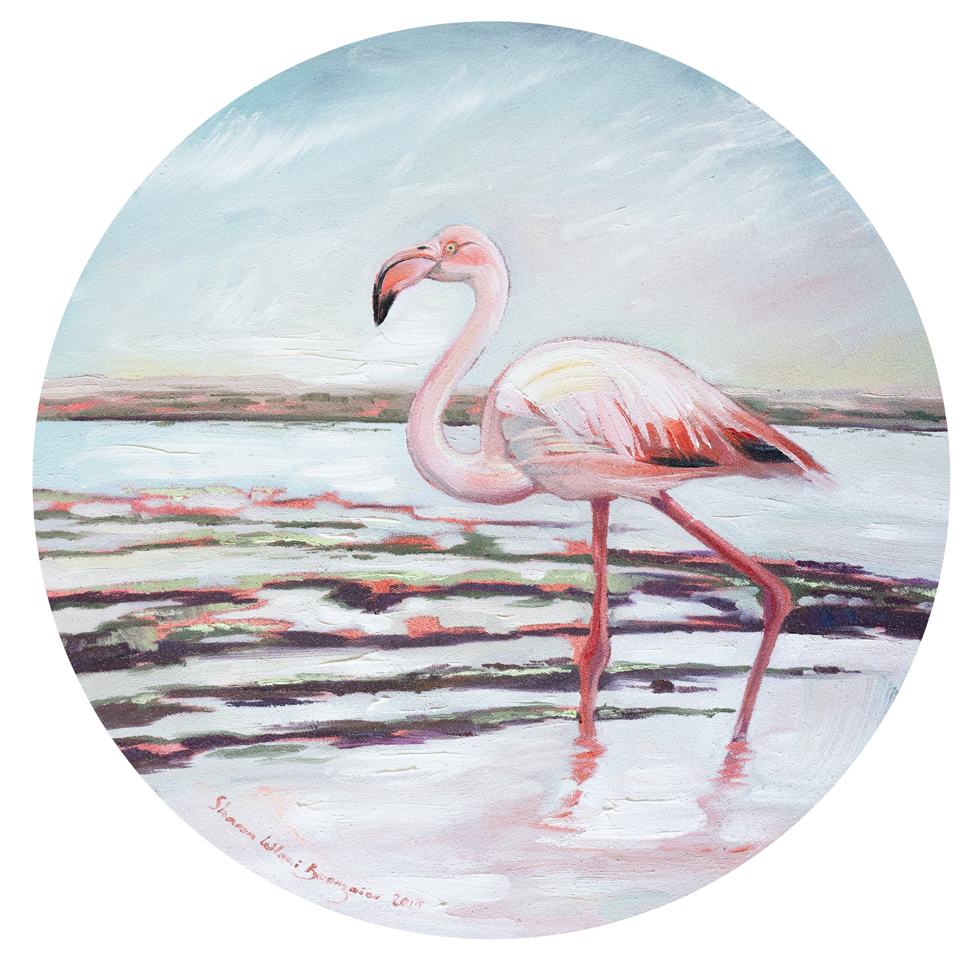 West Coast Flamingo