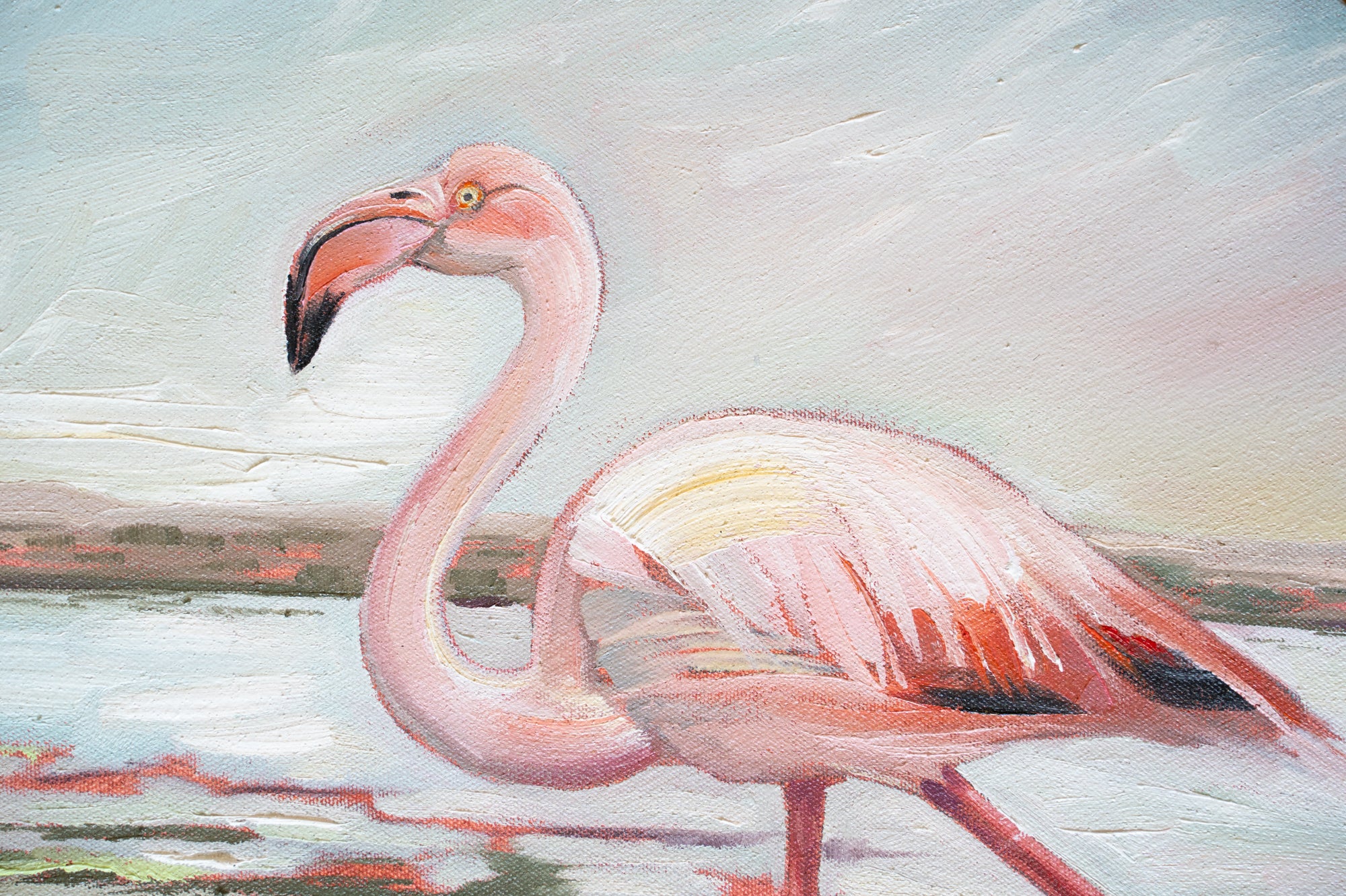 West Coast Flamingo