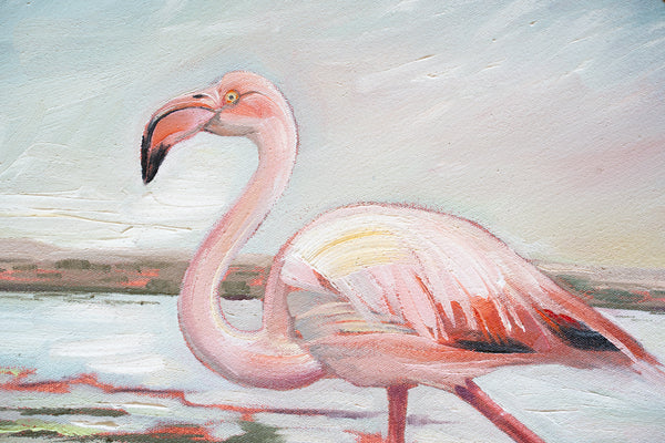 West Coast Flamingo
