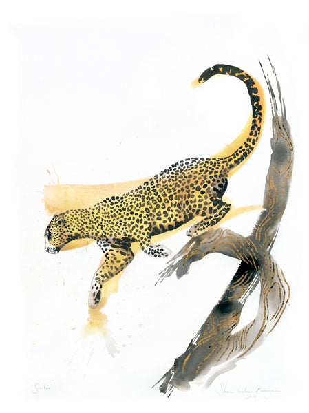 Striker Leopard