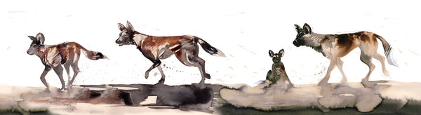 African Wild Dogs